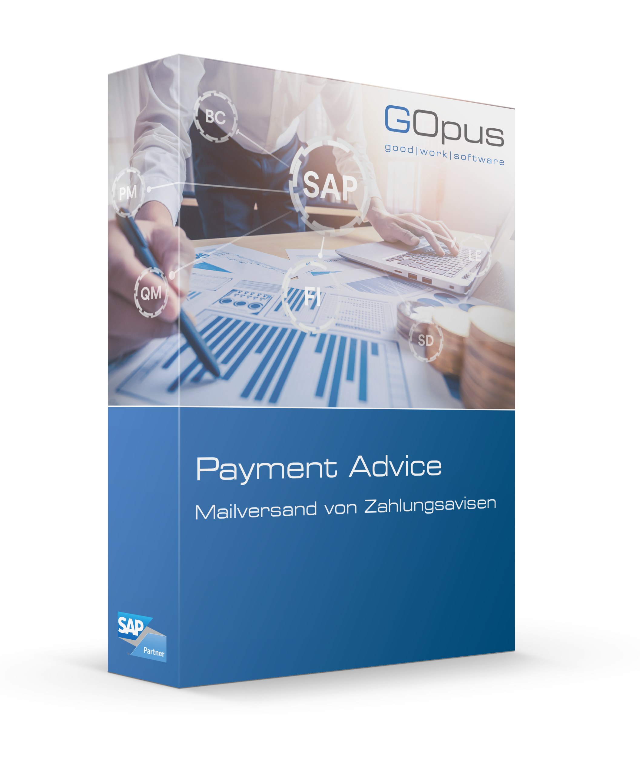 Factsheets | SAP | 25 payment advice scaled